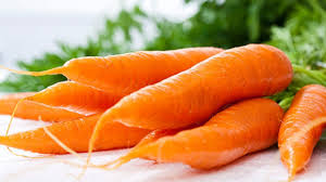 Quy trình sản xuất cà rốt